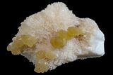 Yellow Calcite On Scolecite (Zeolite) Sprays - Maharashtra, India #168708-1